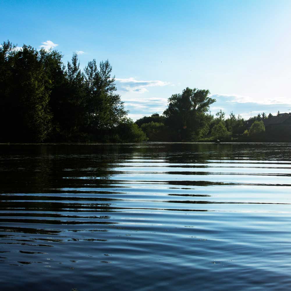 pond